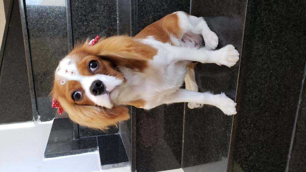 No momento, você está visualizando Andreza e Tábatha